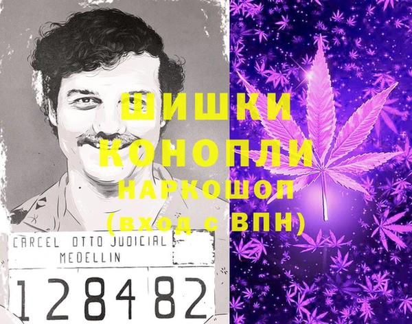 ПСИЛОЦИБИНОВЫЕ ГРИБЫ Балахна